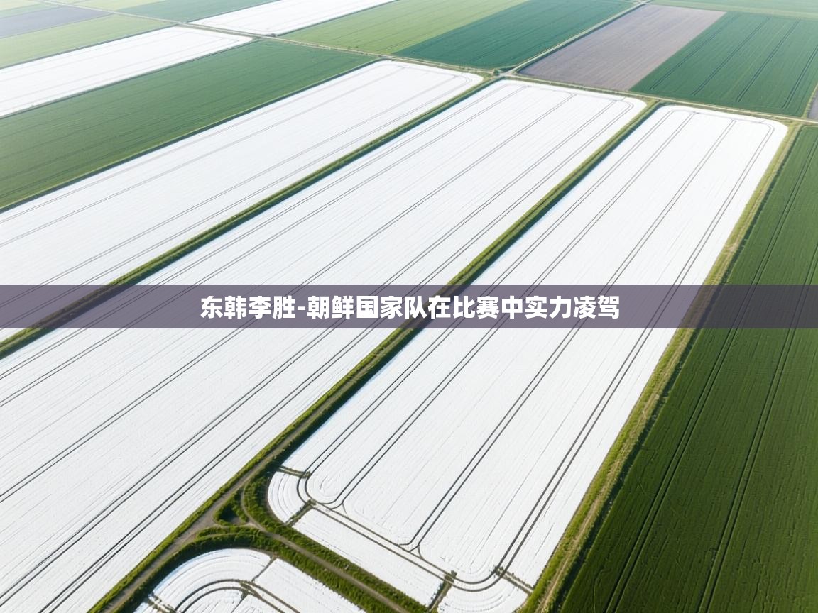 东韩李胜-朝鲜国家队在比赛中实力凌驾  第2张