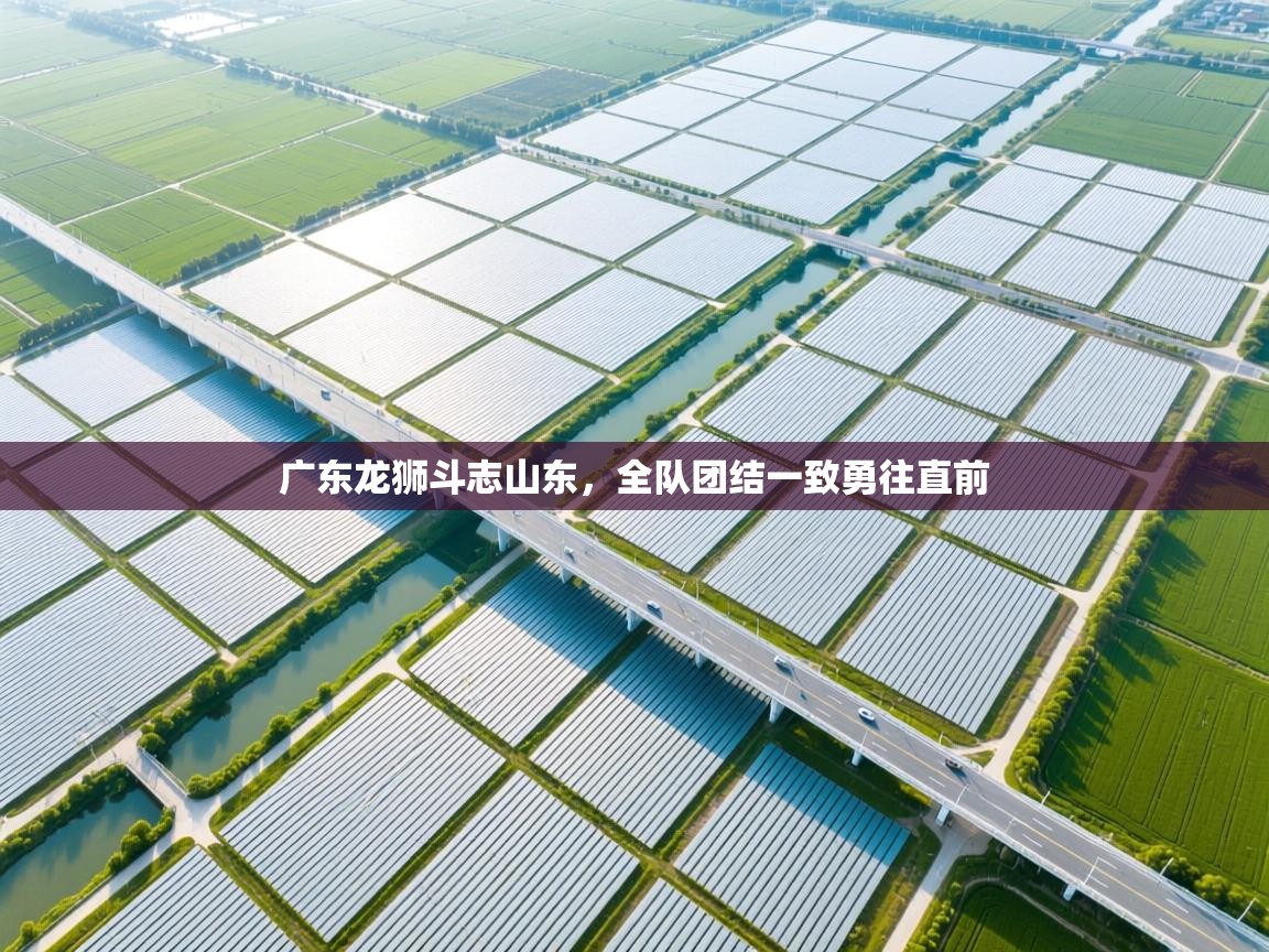 广东龙狮斗志山东，全队团结一致勇往直前  第2张