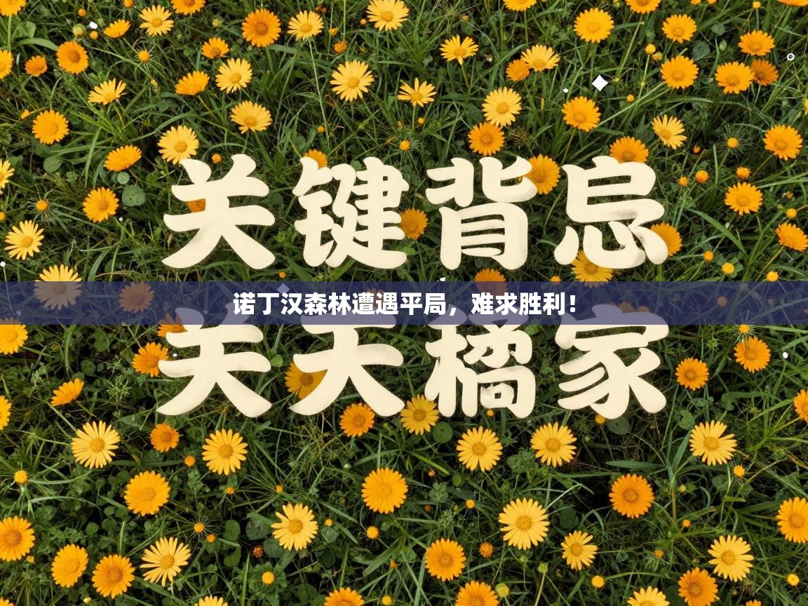 诺丁汉森林遭遇平局，难求胜利！  第2张