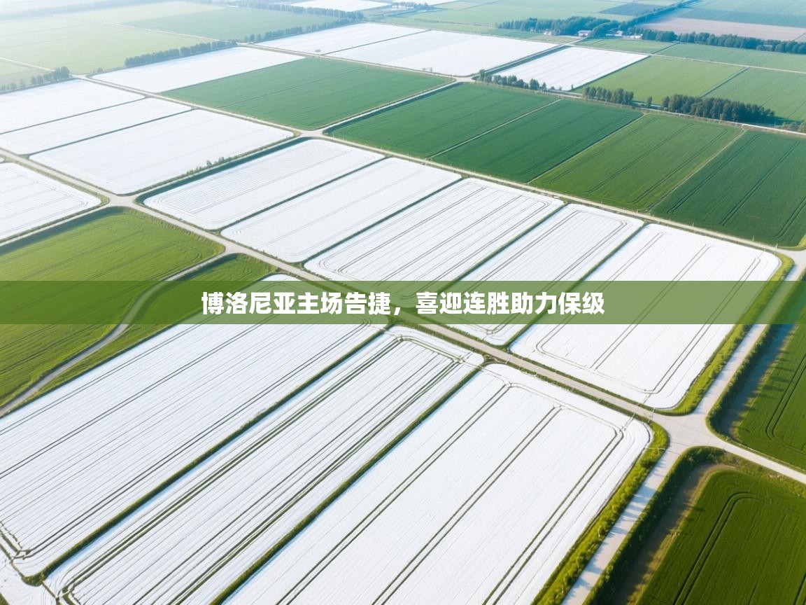 博洛尼亚主场告捷，喜迎连胜助力保级  第2张