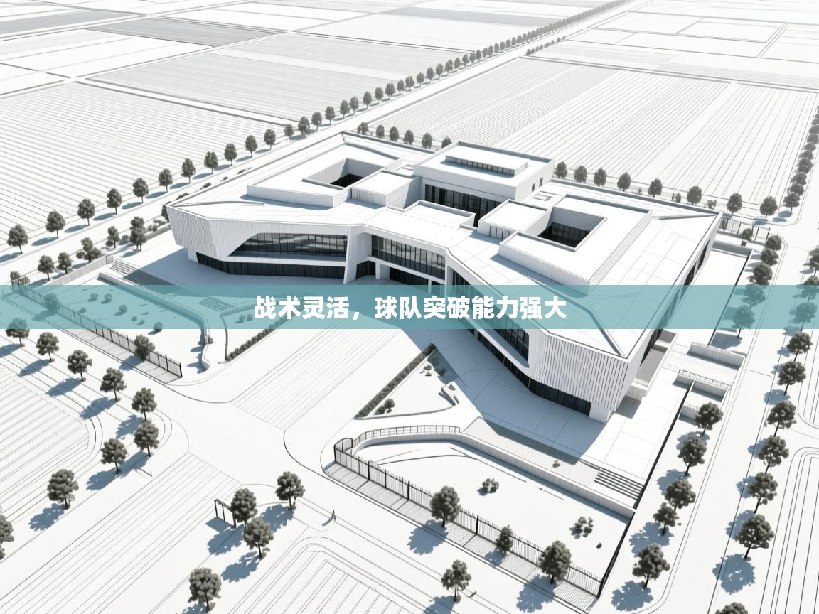 战术灵活,球队突破能力强大 第2张