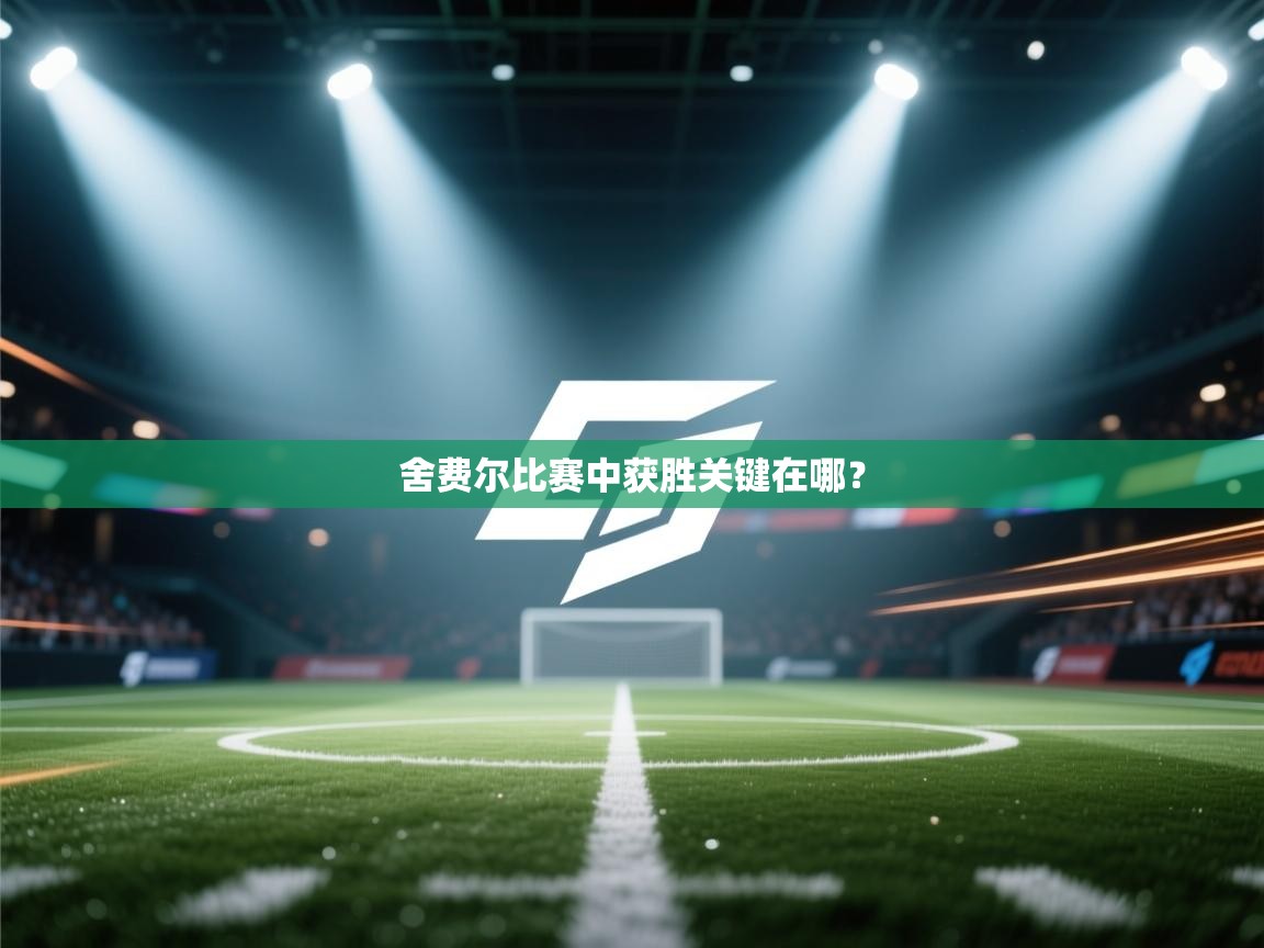 舍费尔比赛中获胜关键在哪? 第2张