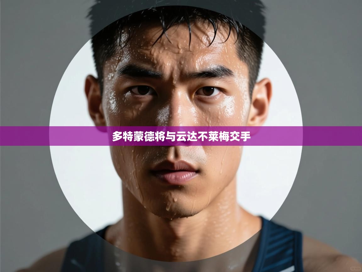 多特蒙德将与云达不莱梅交手 第1张