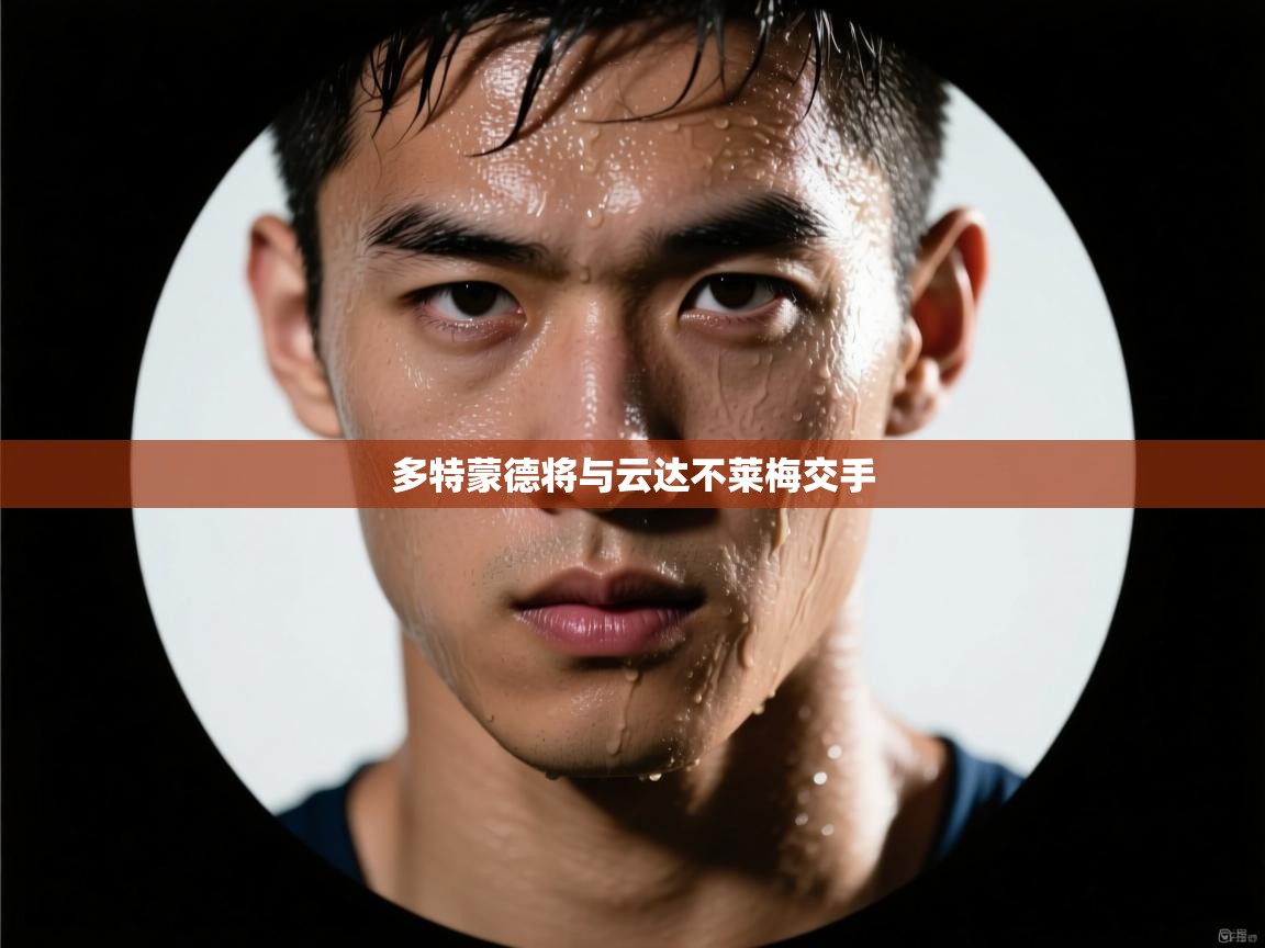 多特蒙德将与云达不莱梅交手 第2张