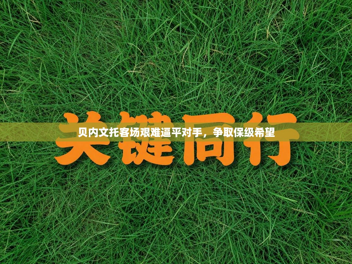 贝内文托客场艰难逼平对手，争取保级希望  第2张